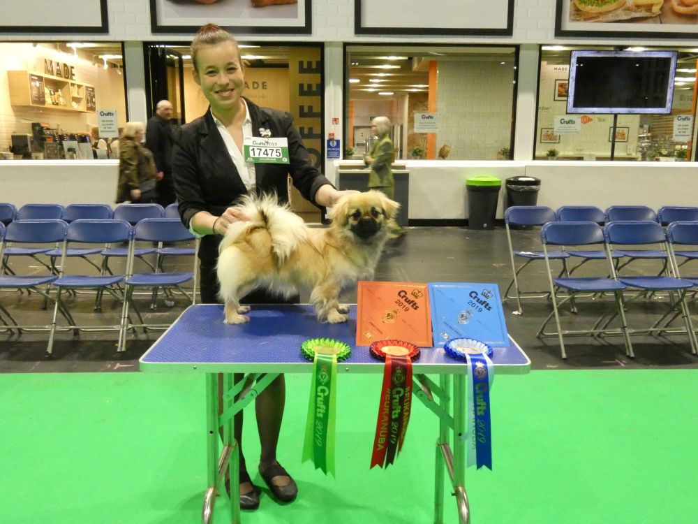 crufts gewinnerin